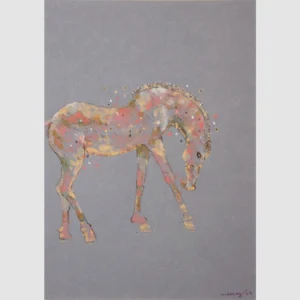 Neeraj Bakshi