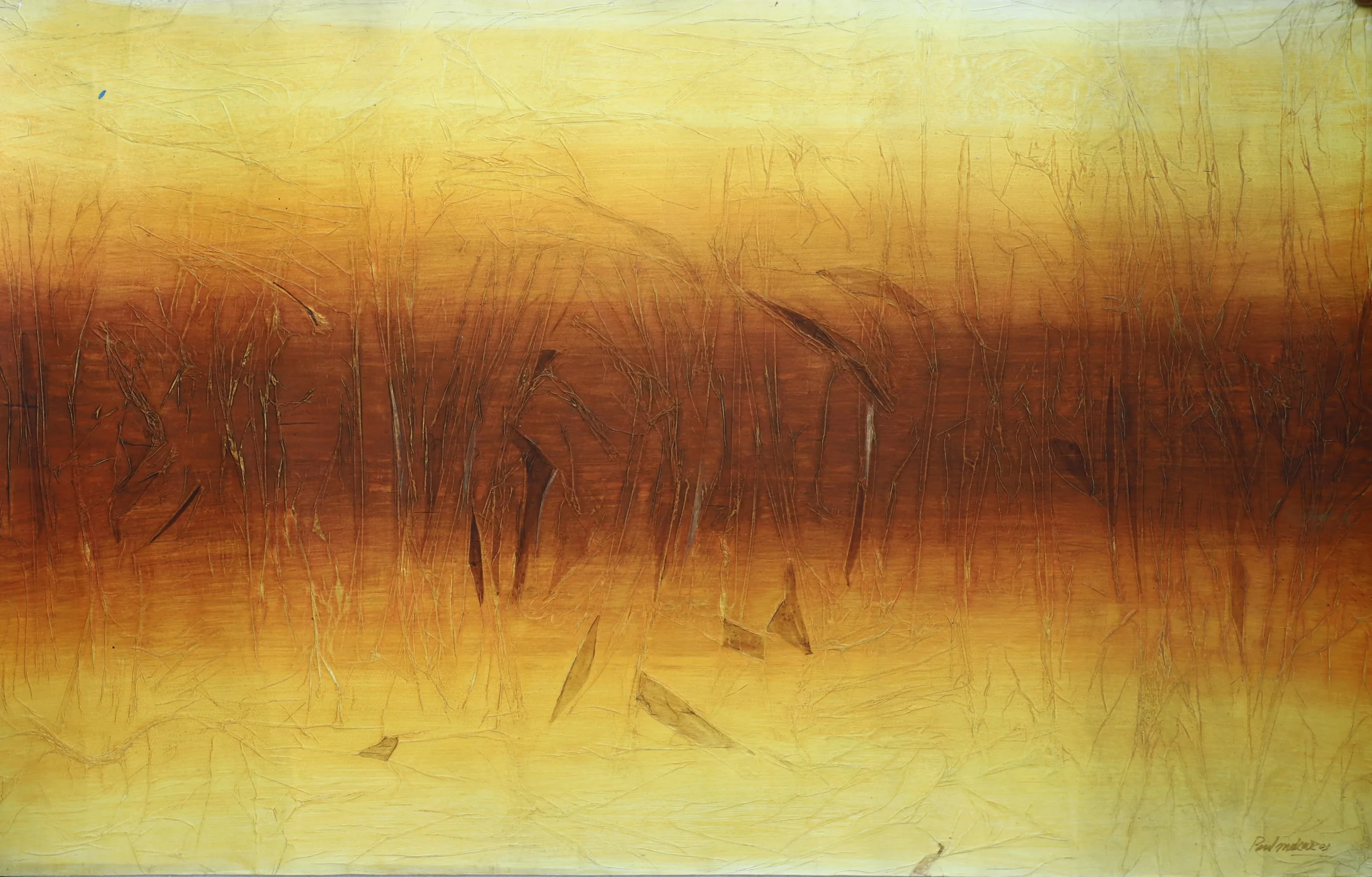 Padmakar Santape - Image 2
